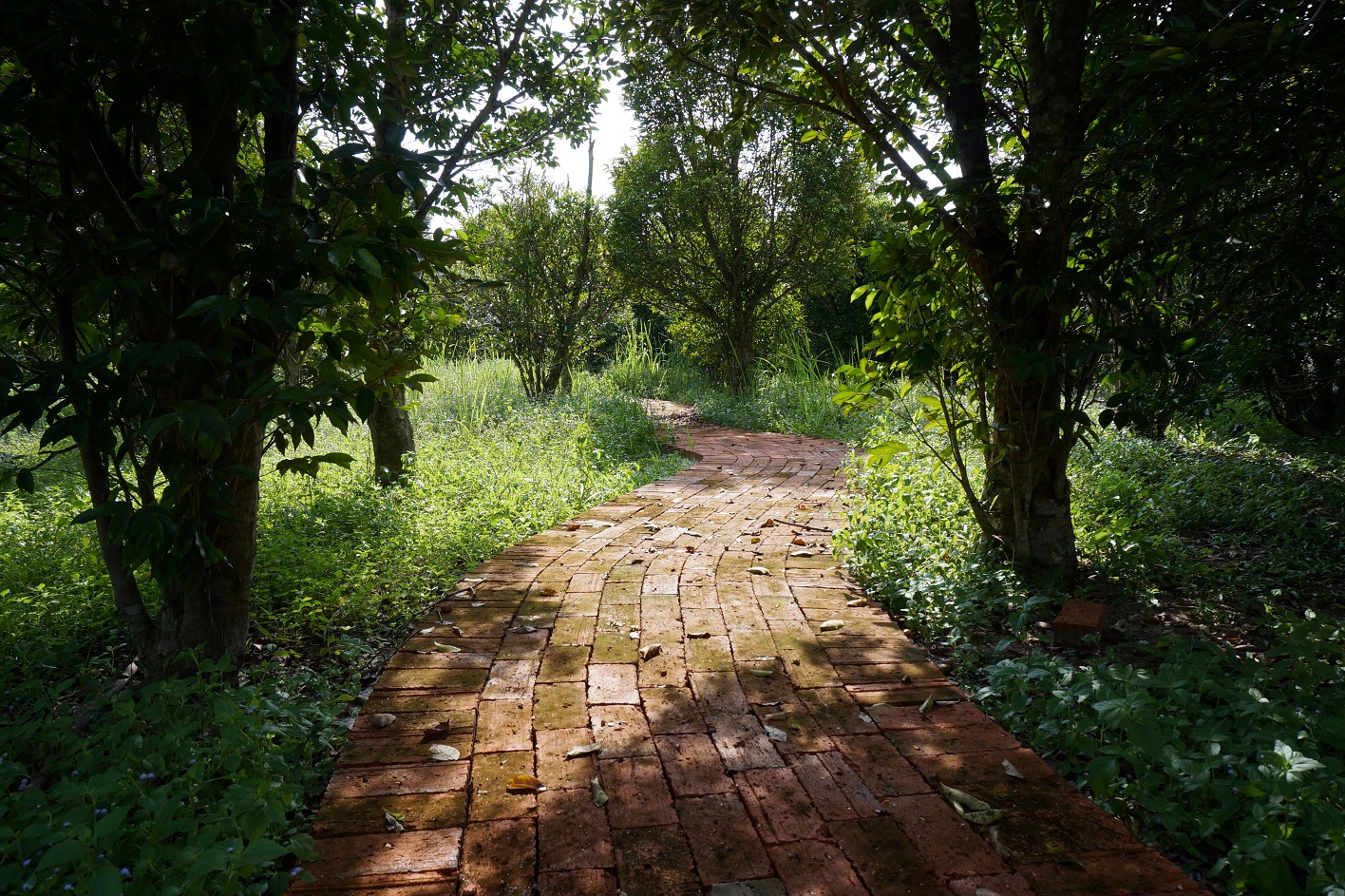 Prayer Walk